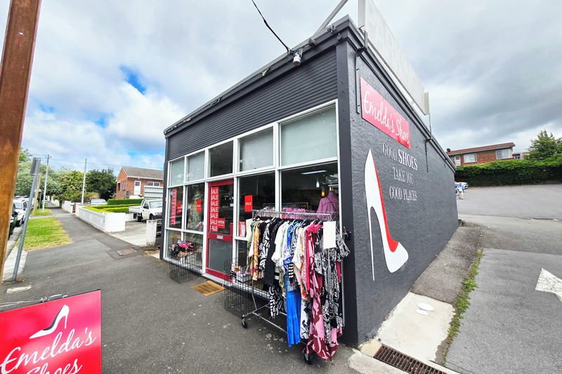 6 David Street, NEWSTEAD, TAS, 7250