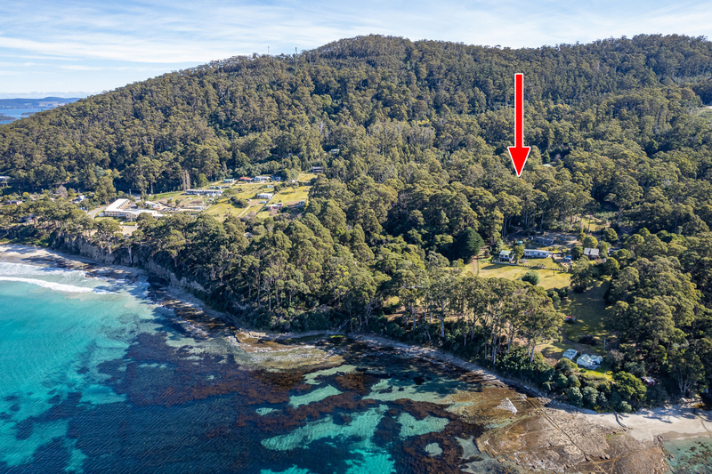 6 Lyndal Drive, Eaglehawk Neck, TAS, 7179