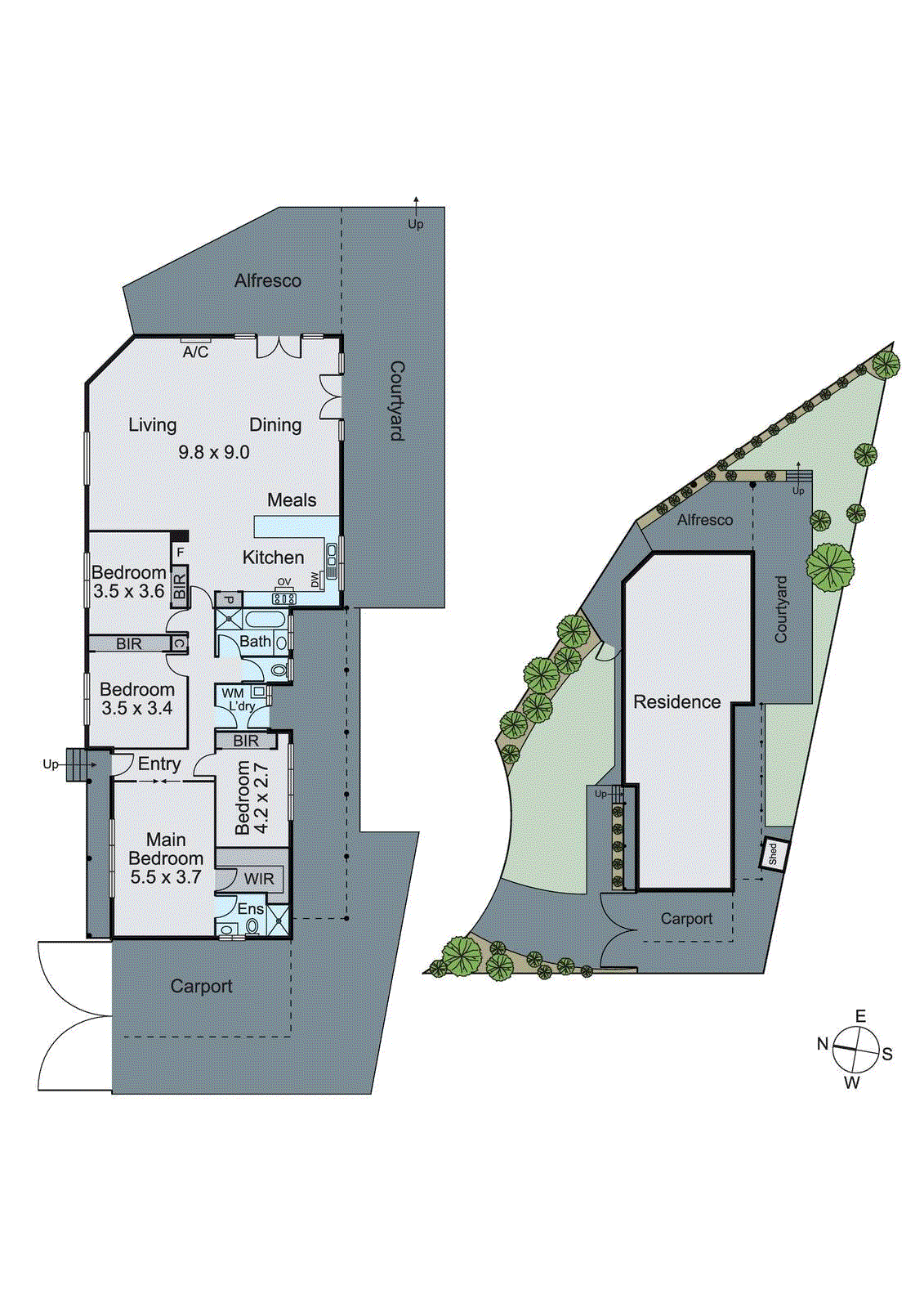 6 Rees Court, Mount Waverley VIC 3149 - Floorplan