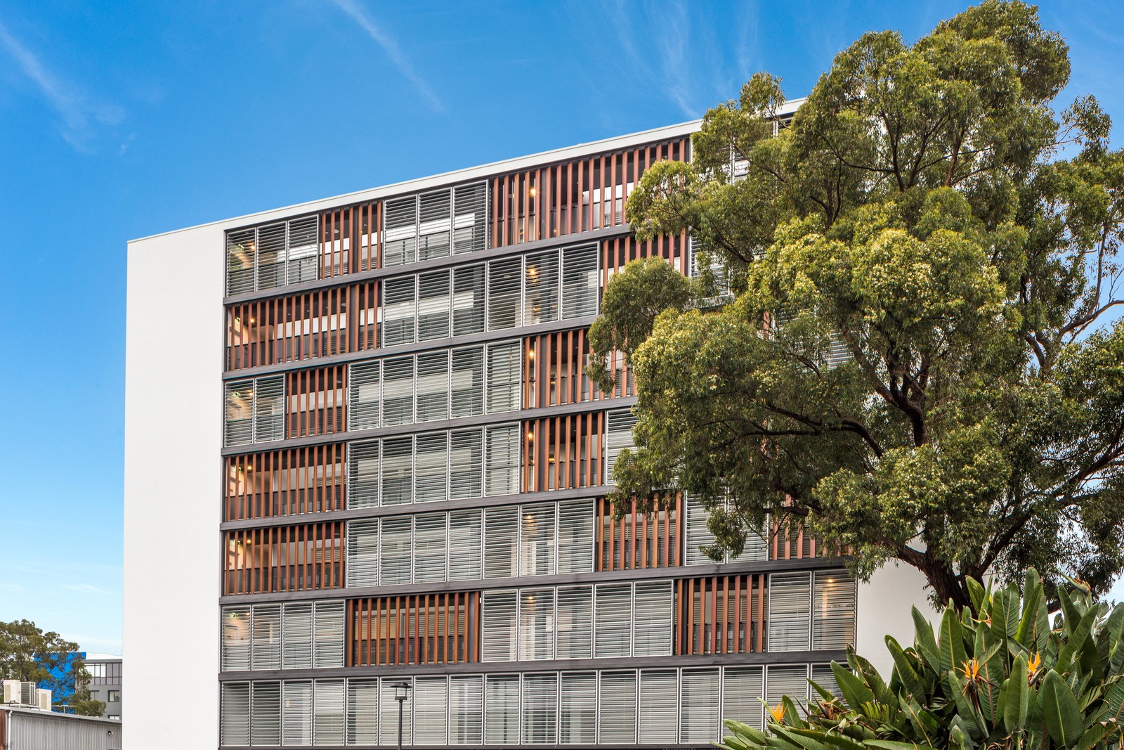 605/610 Rothschild Avenue, Rosebery NSW 2018