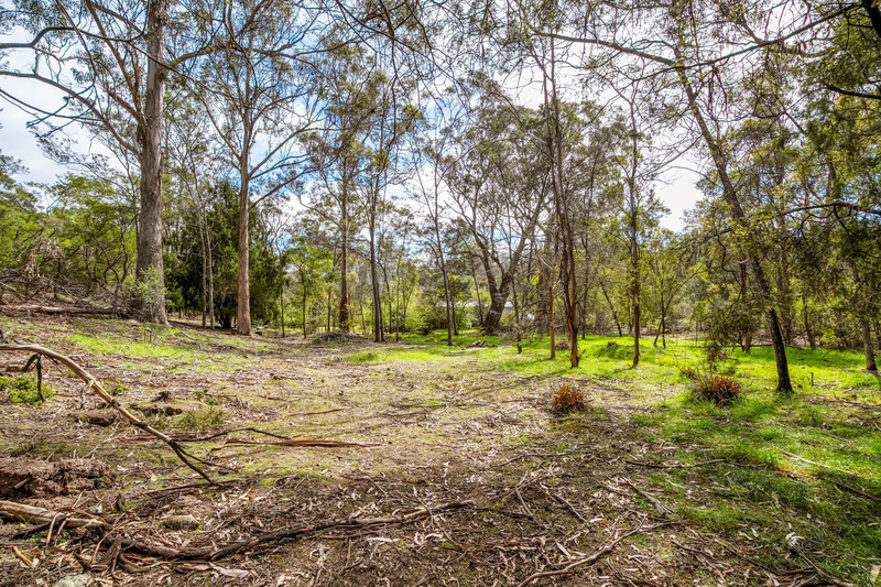 607 Delmore Road, Wattle Hill, TAS, 7172
