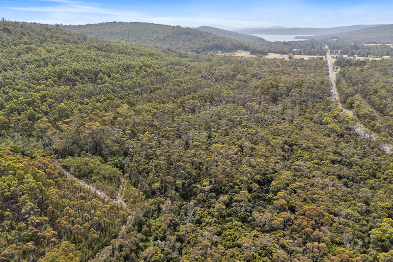 6184 Arthur Highway, Taranna, TAS, 7180