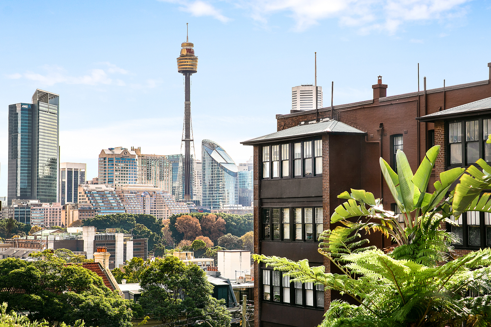 6/1B Darley Street, Darlinghurst NSW 2010