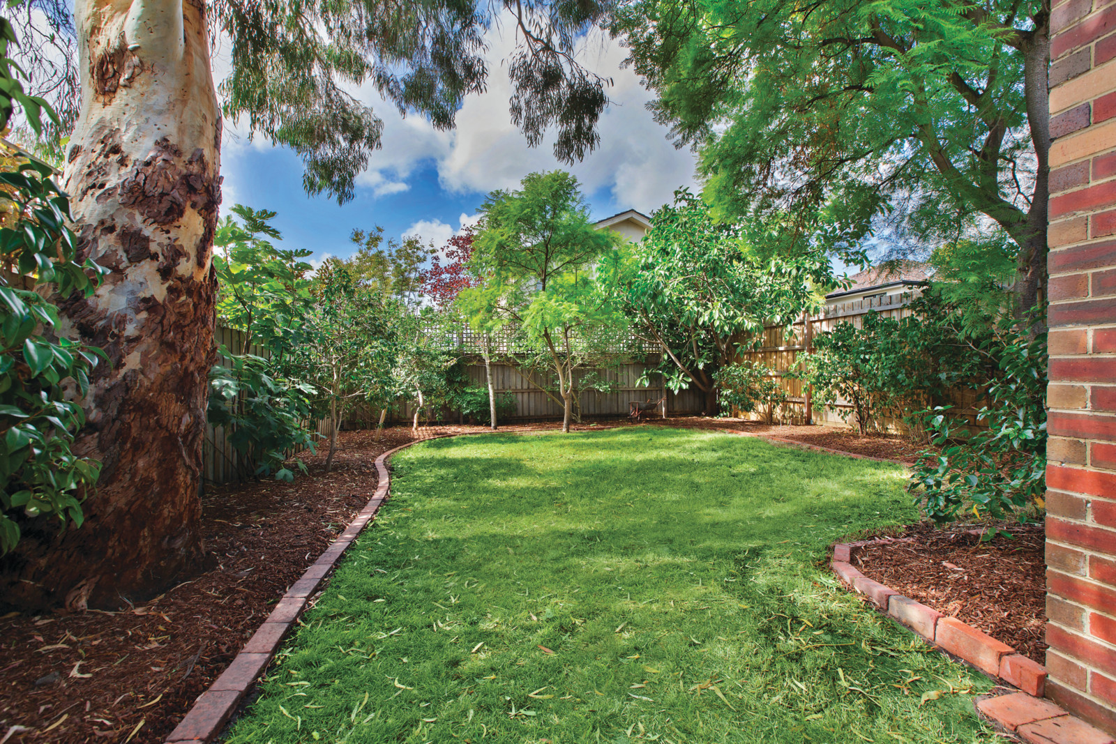 62 McArthur Street Malvern Marshall White