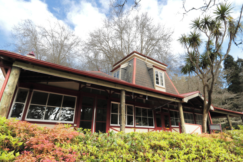 64 Gorge Road, Trevallyn, TAS, 7250