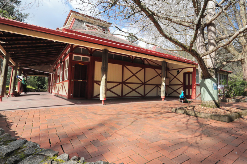 64 Gorge Road, Trevallyn, TAS, 7250