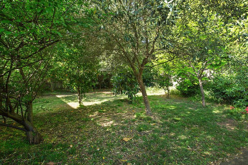 7 Altona Court, Doncaster East