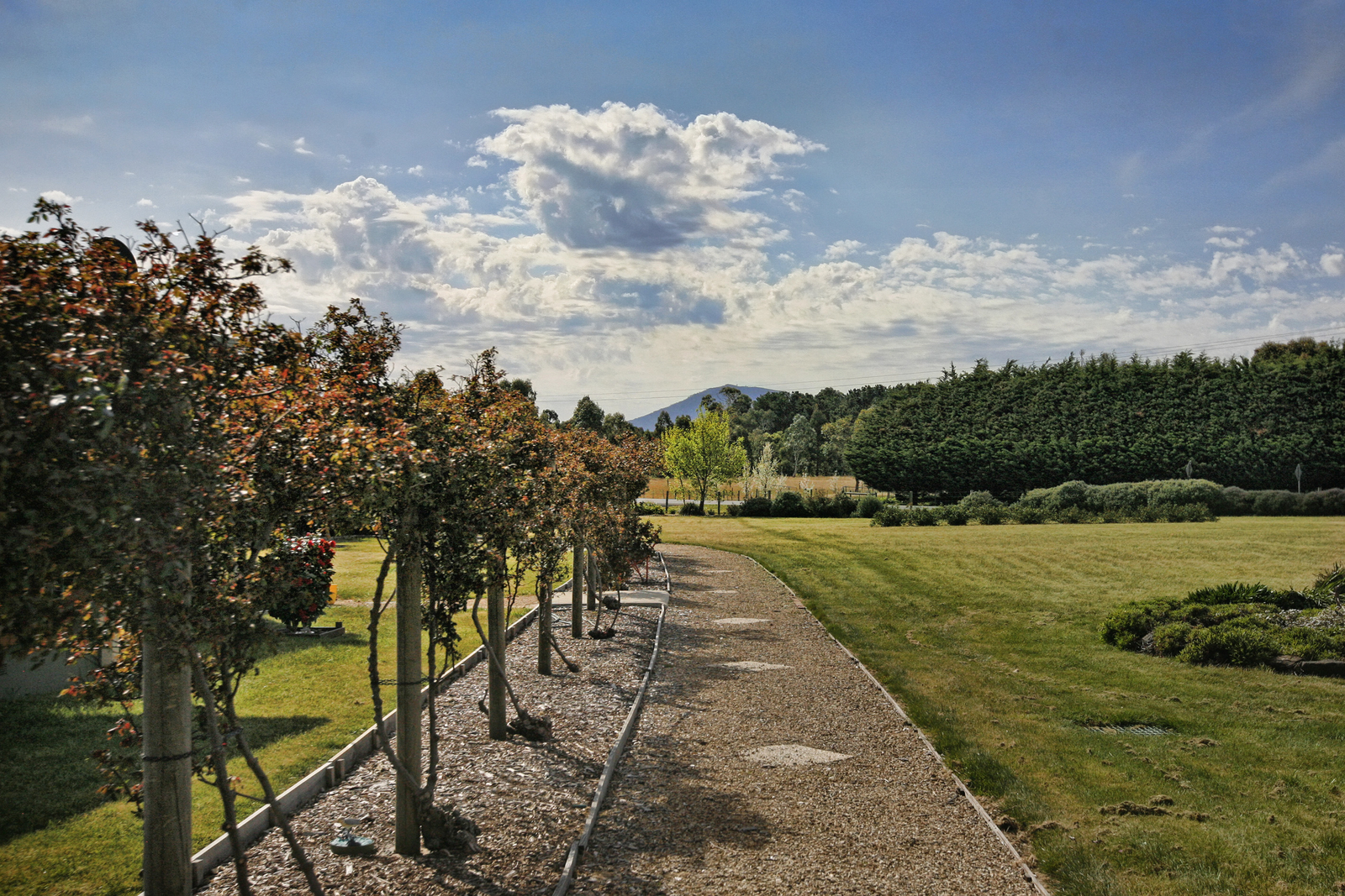 73 Panorama Drive, Gisborne | RT Edgar