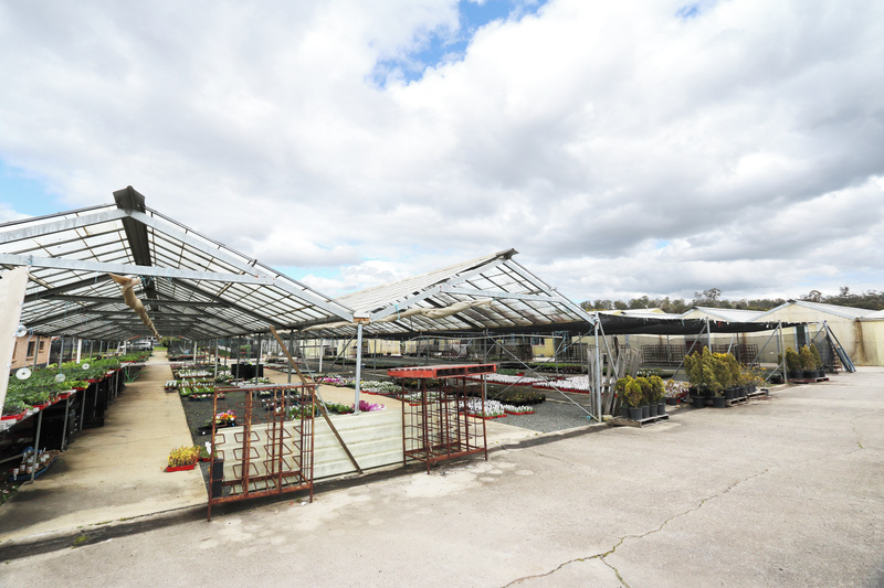 77 Victoria Street, YOUNGTOWN, TAS, 7249