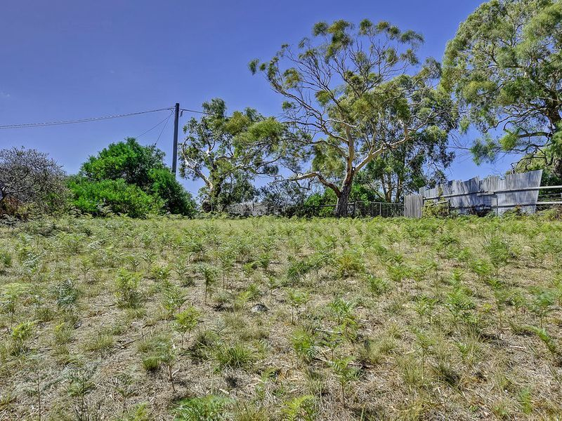 8 Erle Street West , CARLTON RIVER, TAS, 7173