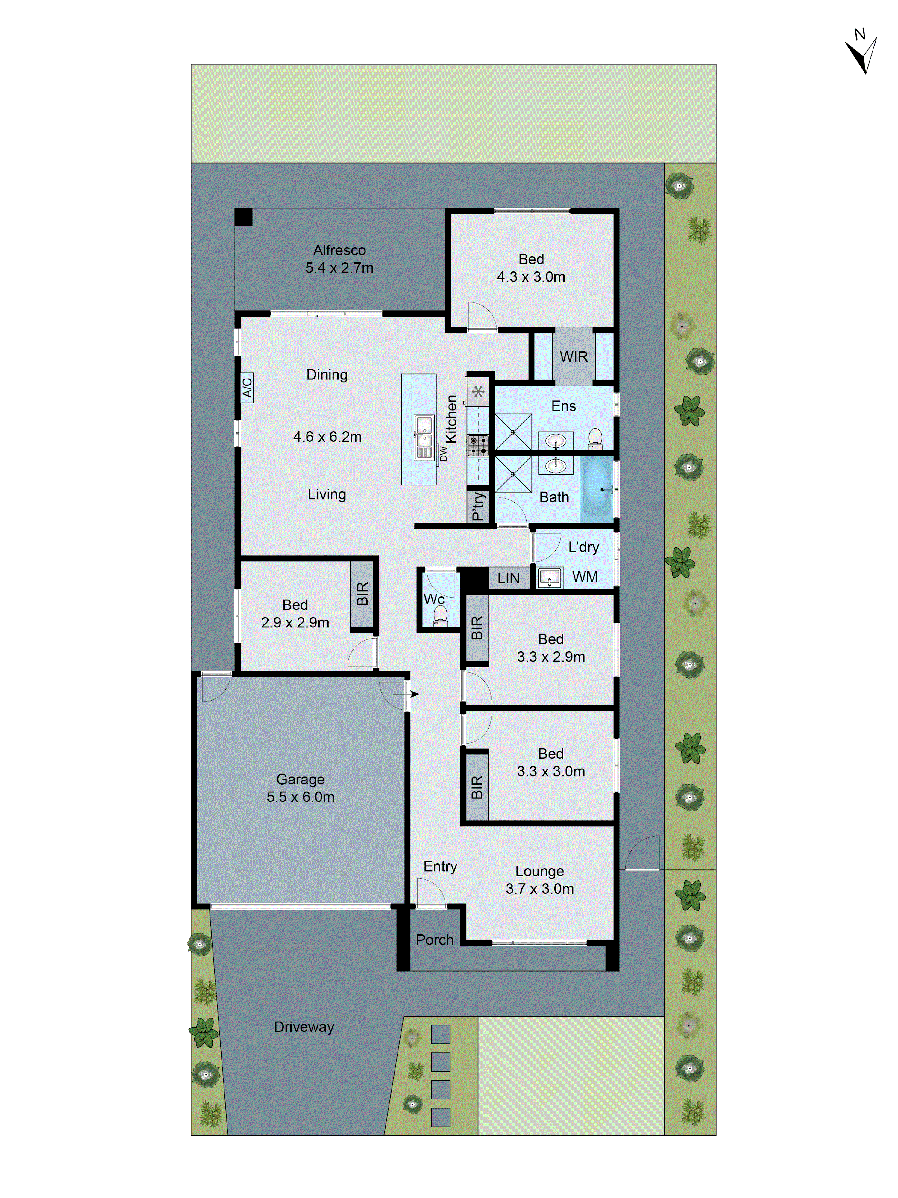 8 Revival Street, Charlemont VIC 3217 - Floorplan