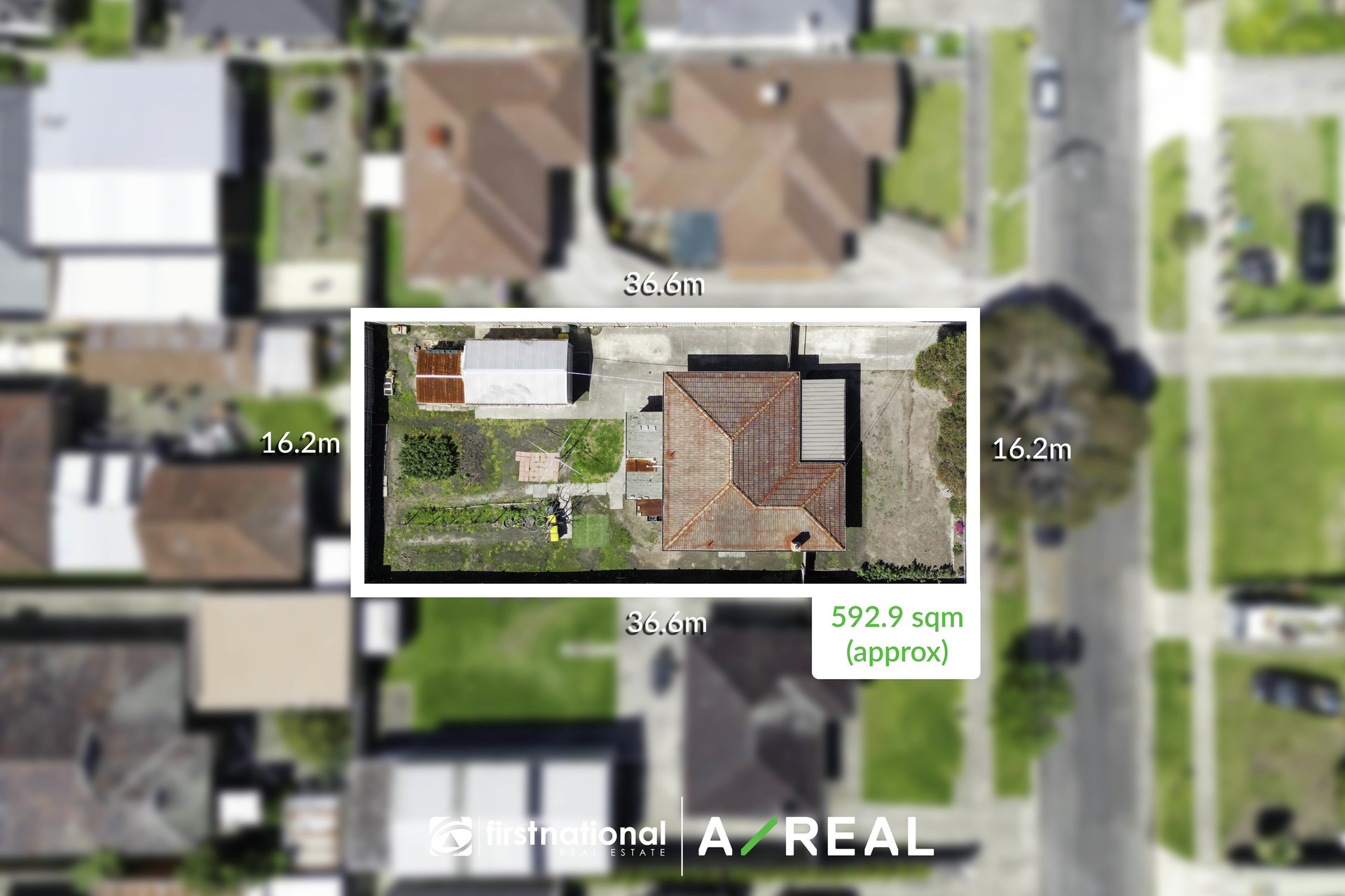 8 Talbot Street, Hadfield VIC 3046 
