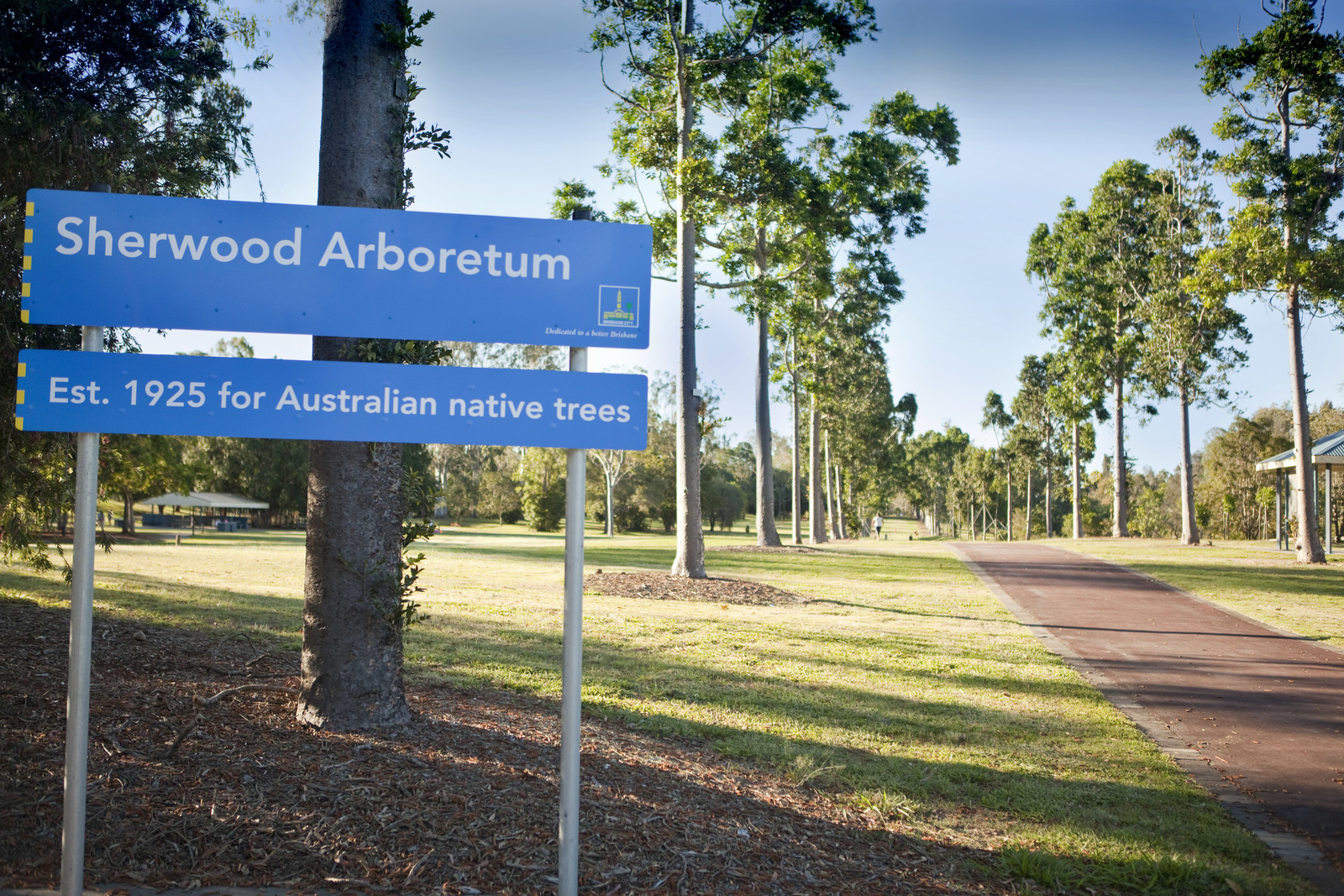 81 Lilly Street, Sherwood QLD 4075