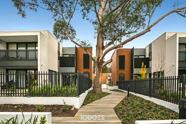 8/19 Landcox Street Brighton East