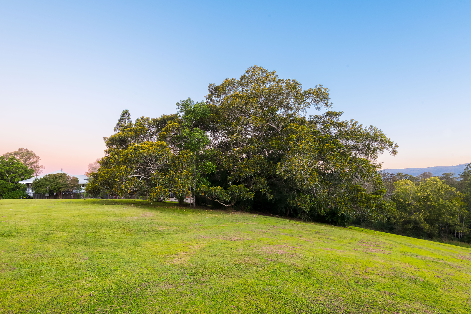 8387 Mount O'Reilly Road, Samford Valley QLD 4520
