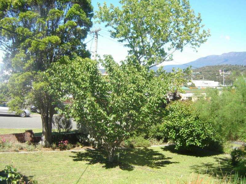 8A Mildura Street, BELLERIVE, TAS, 7018