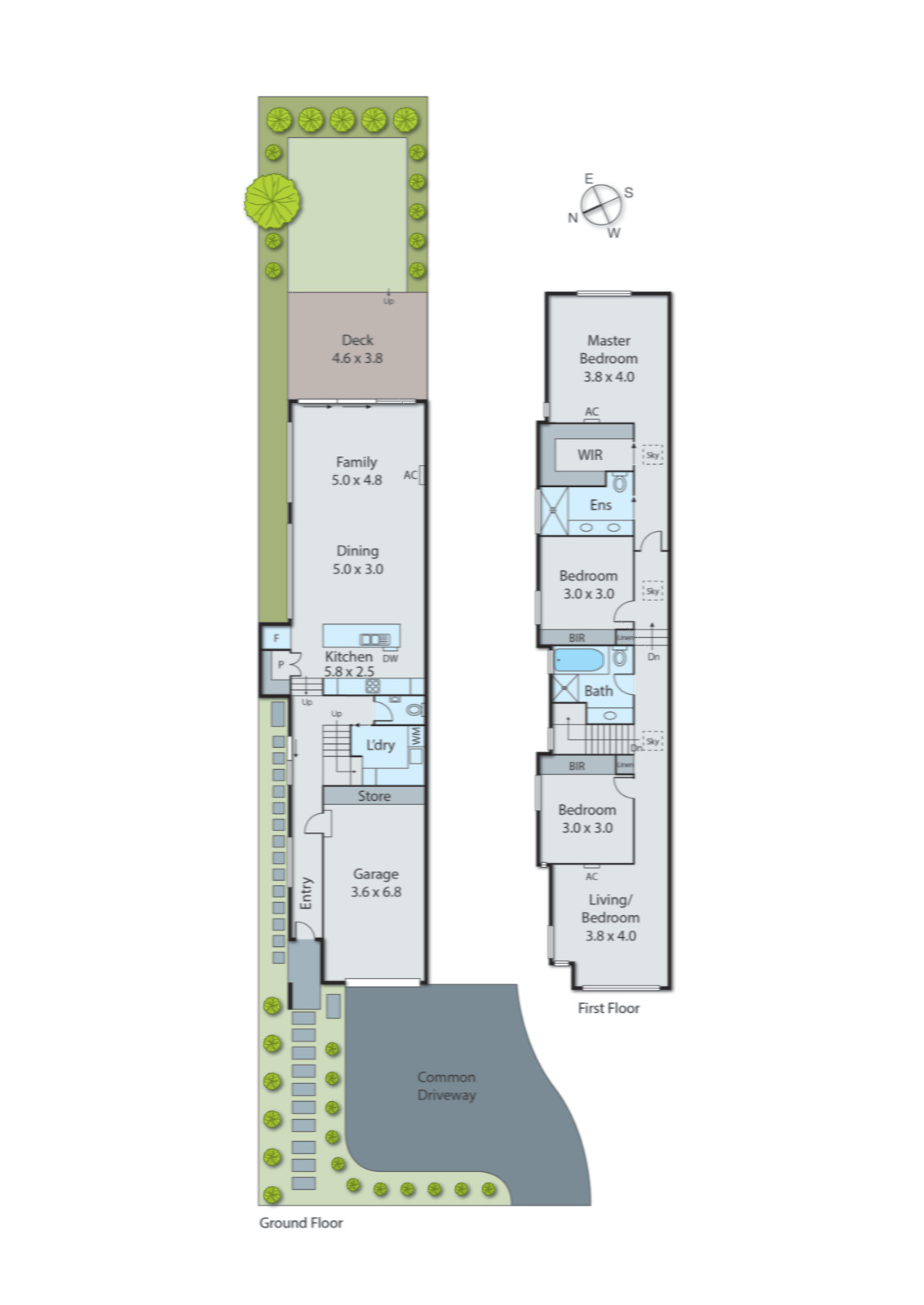 8B Charman Road, Mentone VIC 3194 - Floorplan