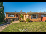 None - Photo 1
