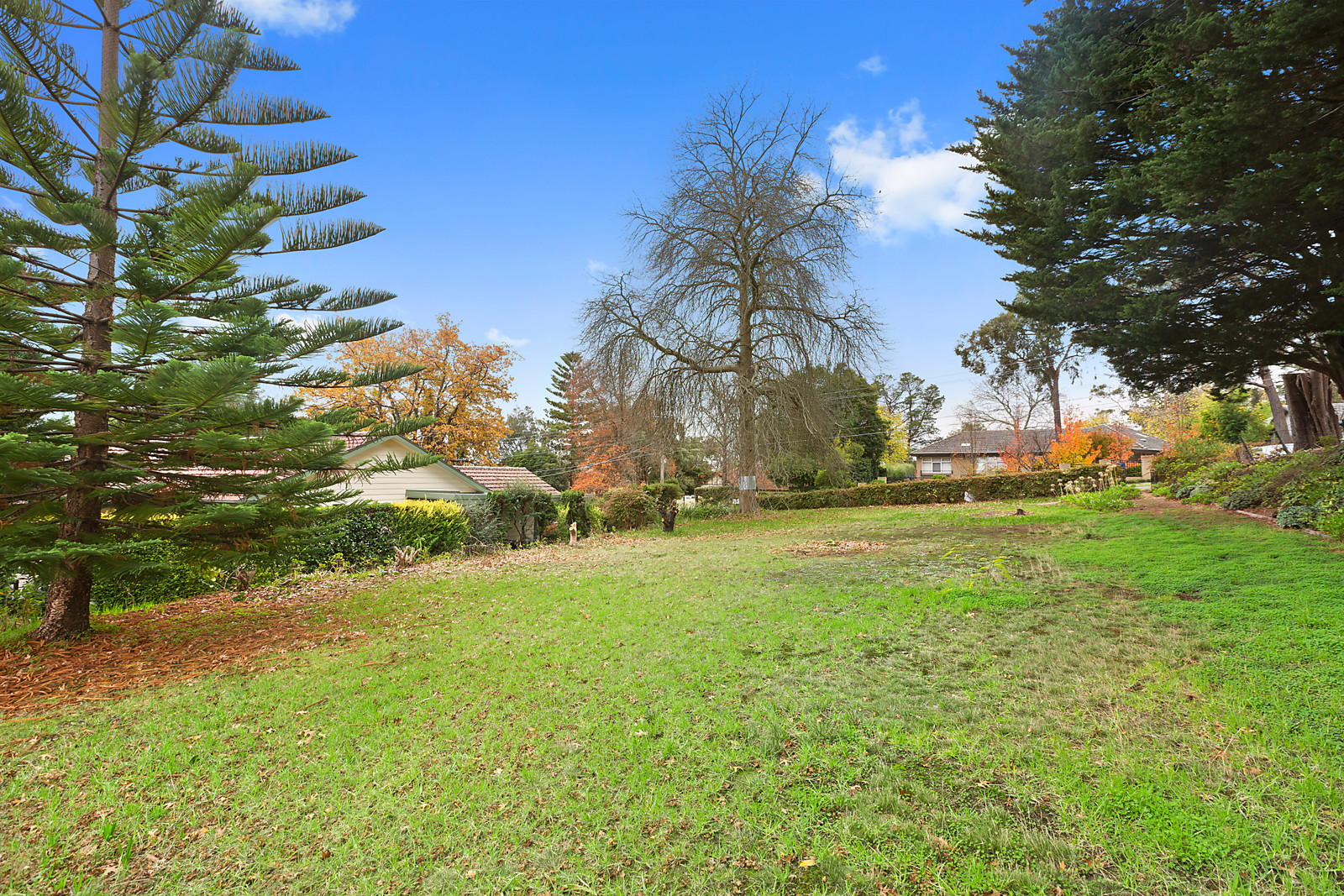 95 Alto Avenue, Croydon
- Print Image 1