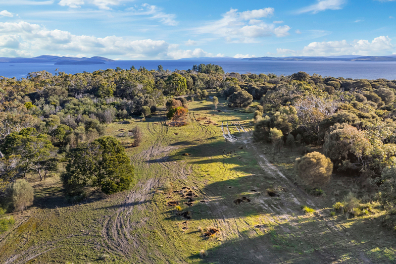 Brown Hawk Road, Primrose Sands, TAS, 7173