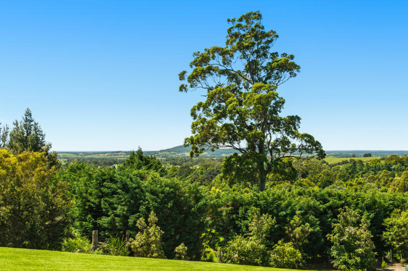 Jaspers Brush NSW 2535