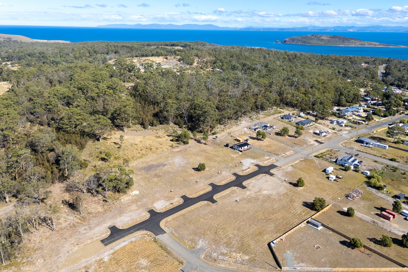 Lily Street, White Beach, TAS, 7184