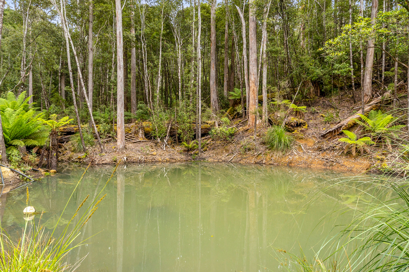 Lot 1 Arthur Highway, Port Arthur, TAS, 7182