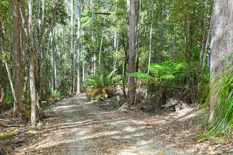 Lot 1 Arthur Highway, Port Arthur, TAS, 7182