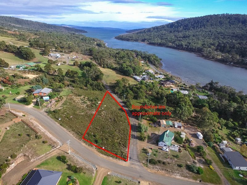 Lot 1 Ferntree Road, EAGLEHAWK NECK, TAS, 7179