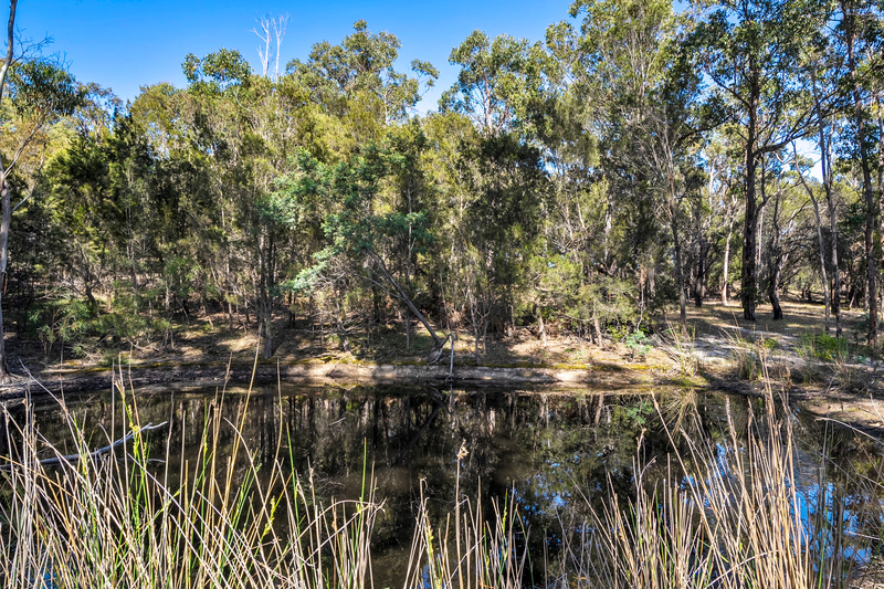 Lot 2 Delmore Road, Forcett, TAS, 7173