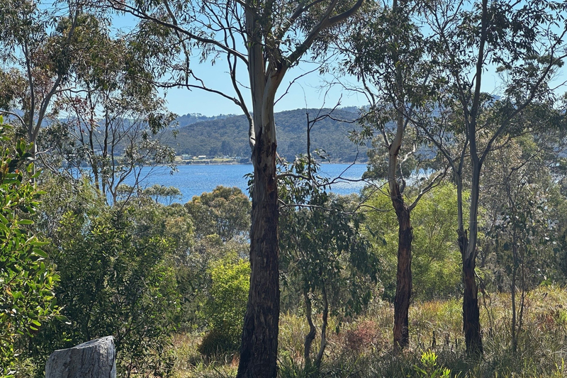 512 White Beach Road, White Beach, TAS, 7184
