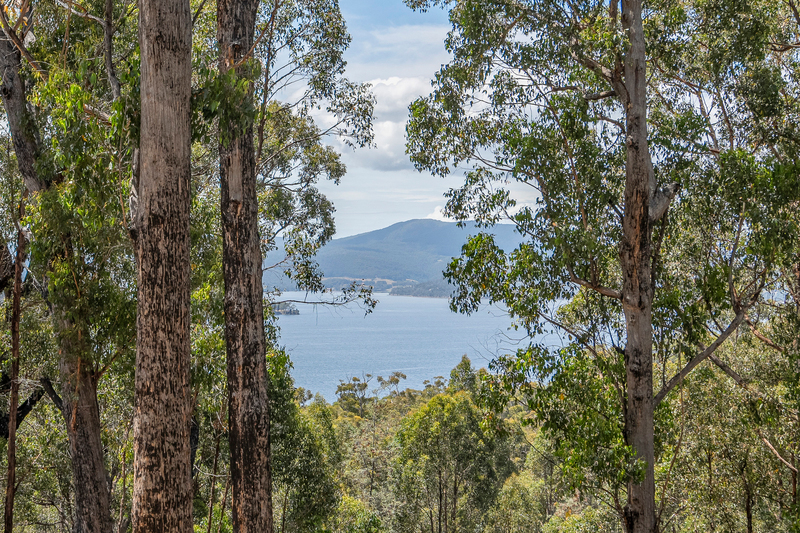 Esperance Coast Road, Brooks Bay, TAS, 7116