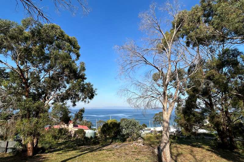 9 Boobyalla Street, Primrose Sands, TAS, 7173