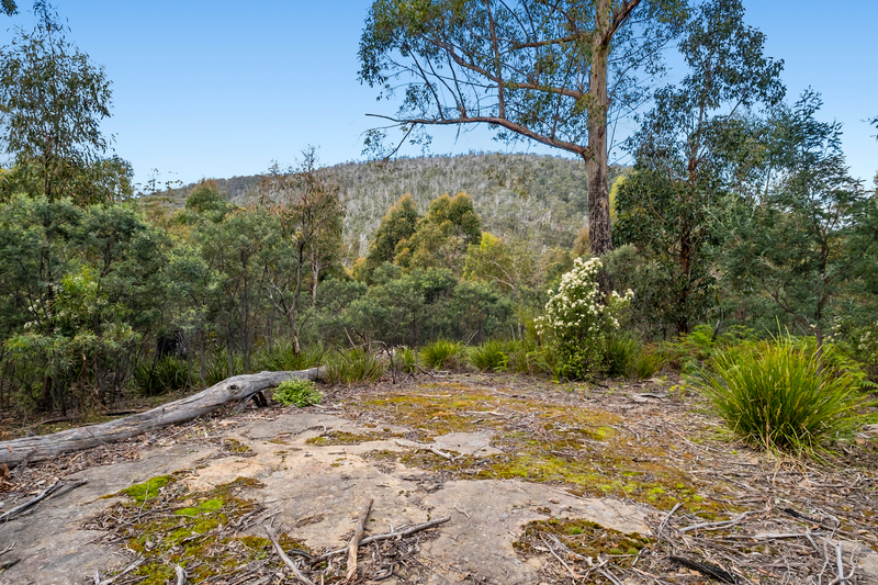 Lot 5 White Hill Road, Forcett, TAS, 7173