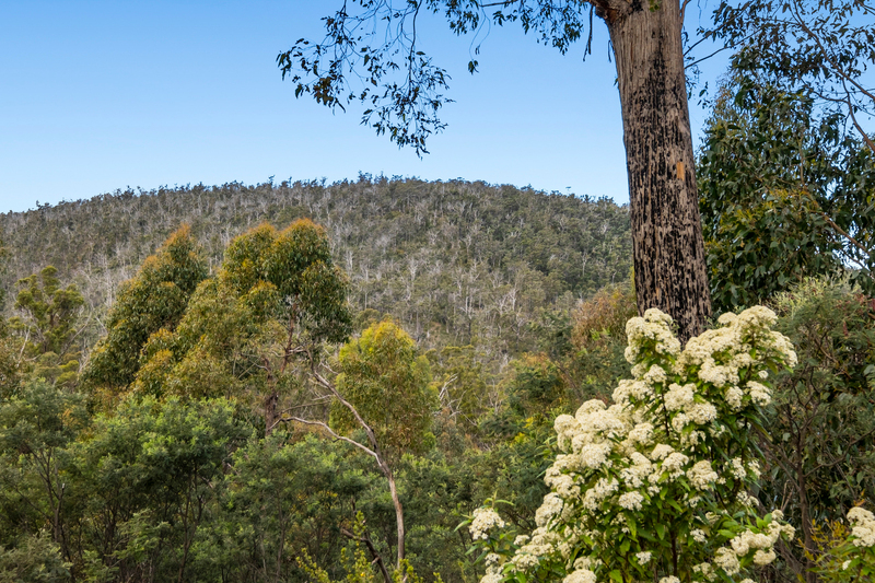 Lot 5 White Hill Road, Forcett, TAS, 7173