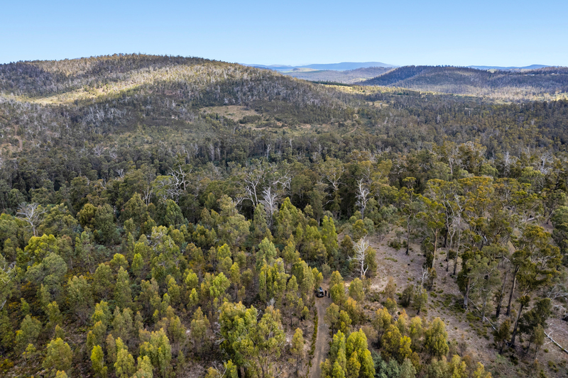 Lot 5 White Hill Road, Forcett, TAS, 7173