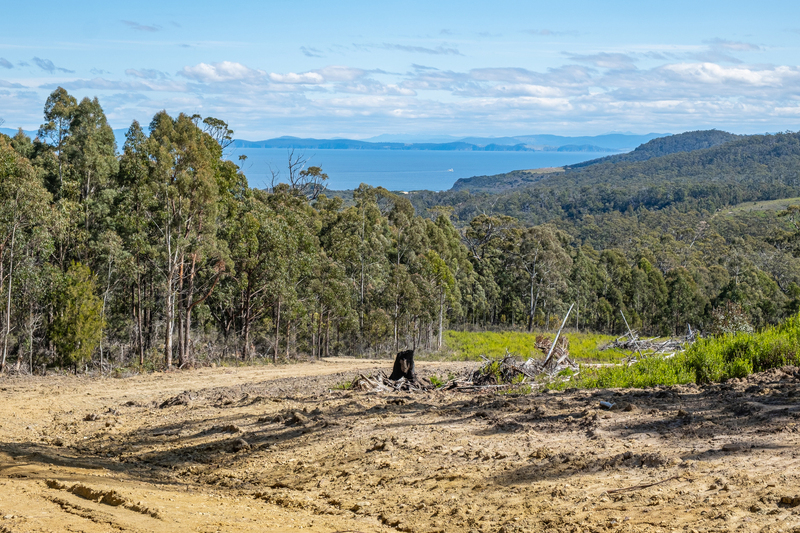 Lot D-E 493 Hurdle Road, Saltwater River, TAS, 7186