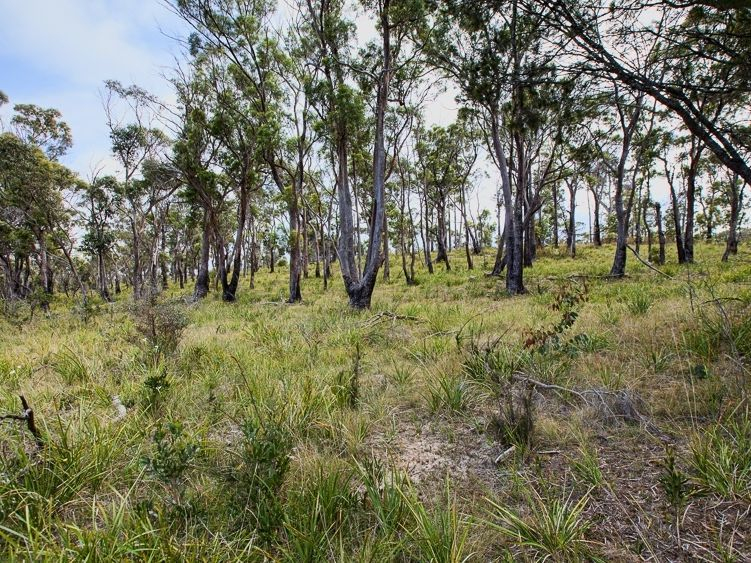 Lots A- B- C Arthur Highway, Murdunna, TAS, 7178