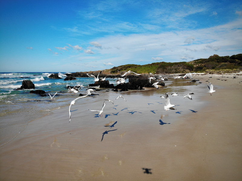 Tasman Highway, ST HELENS, TAS, 7216